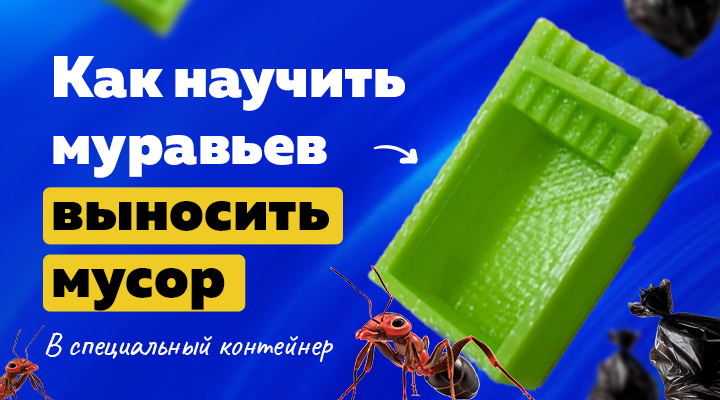 Дрессированные мураши: как научить муравьев убирать за собой